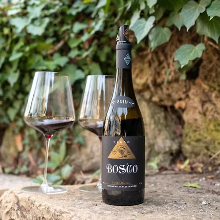 Borgo Syrah *