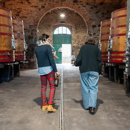 Borgo Syrah 펜션 코르토나