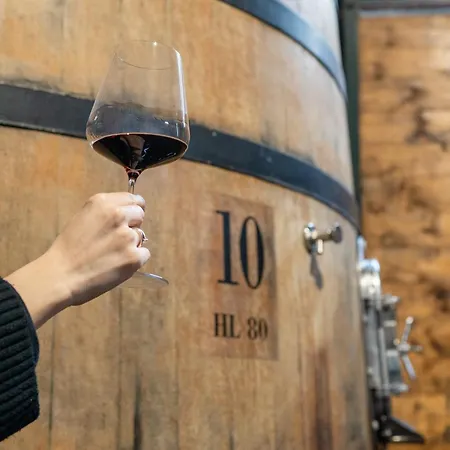 Borgo Syrah Casa de Férias