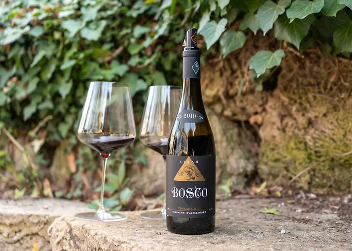 펜션 Borgo Syrah