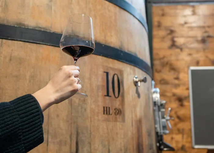 Borgo Syrah 펜션 *